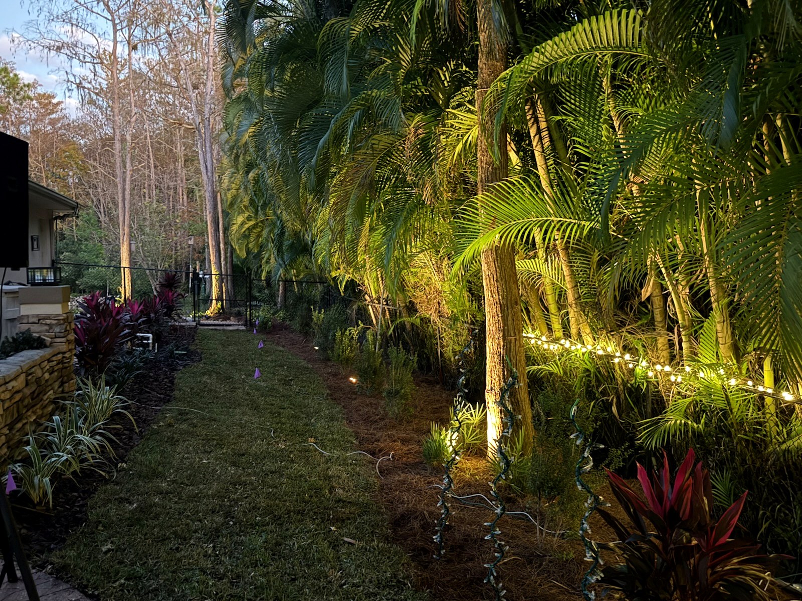 Completed tropical planting and landscape lighting