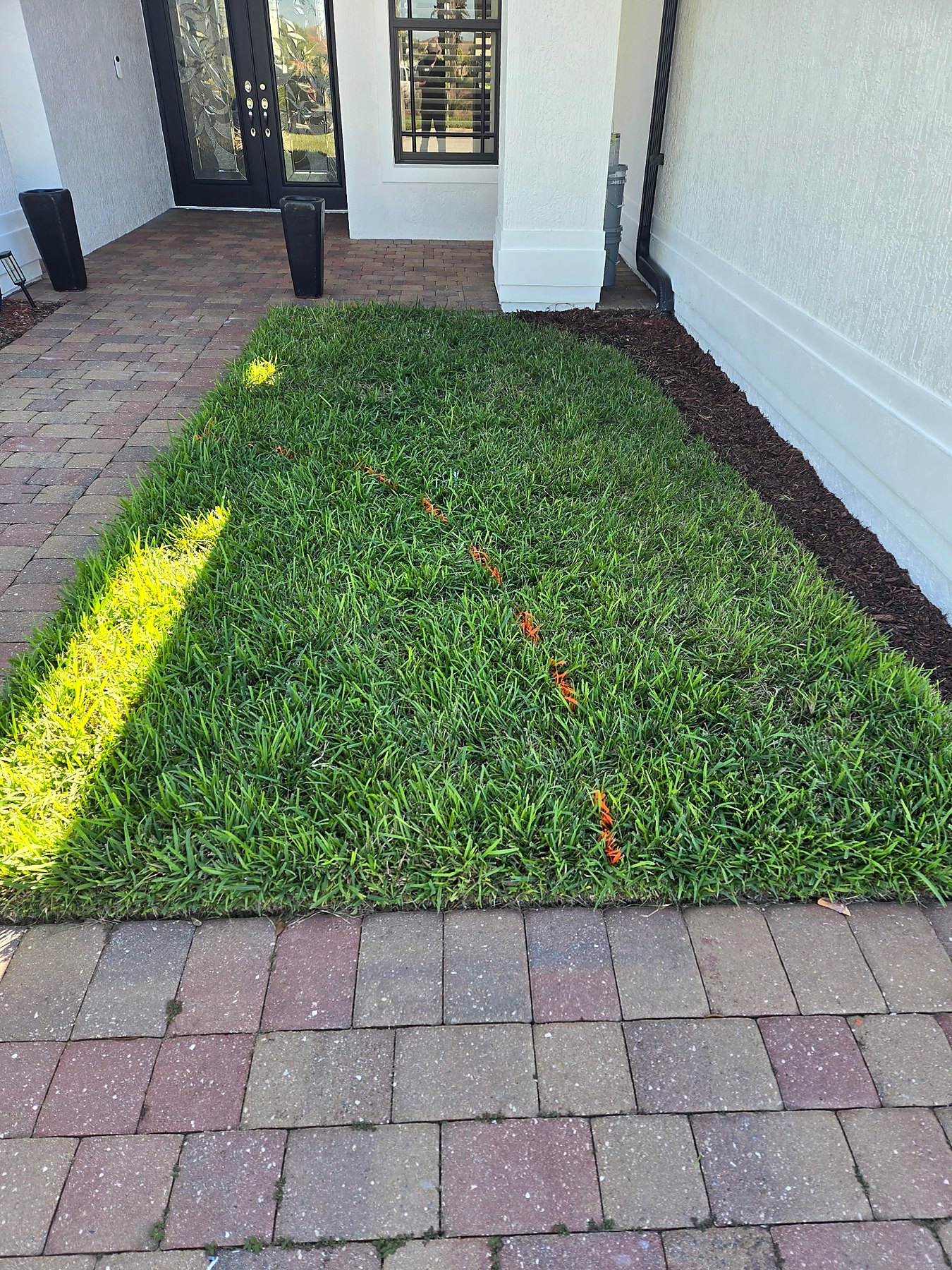 Foundation planting area before landscape bed refresh