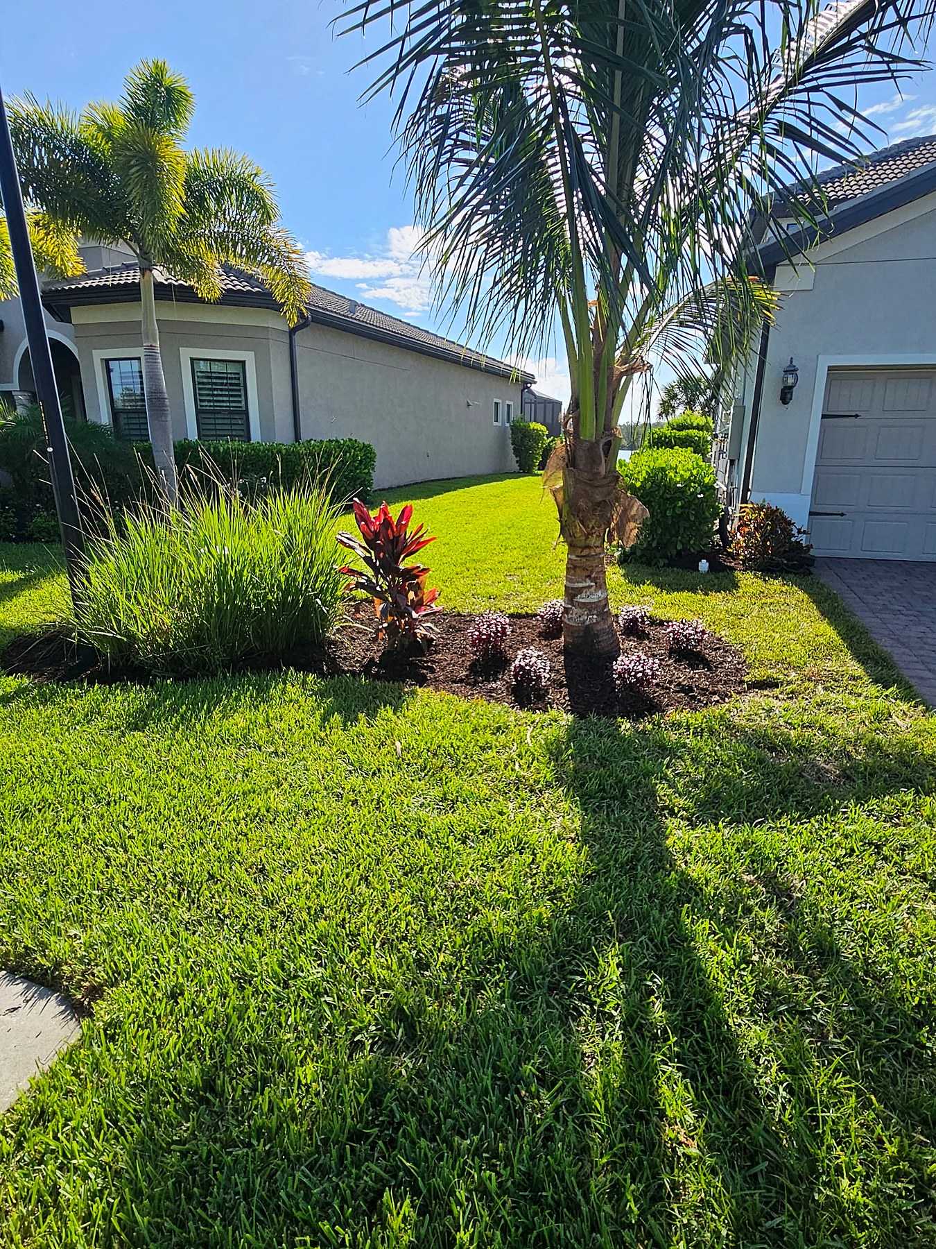 Fresh landscape renovation around a Southwest Florida home