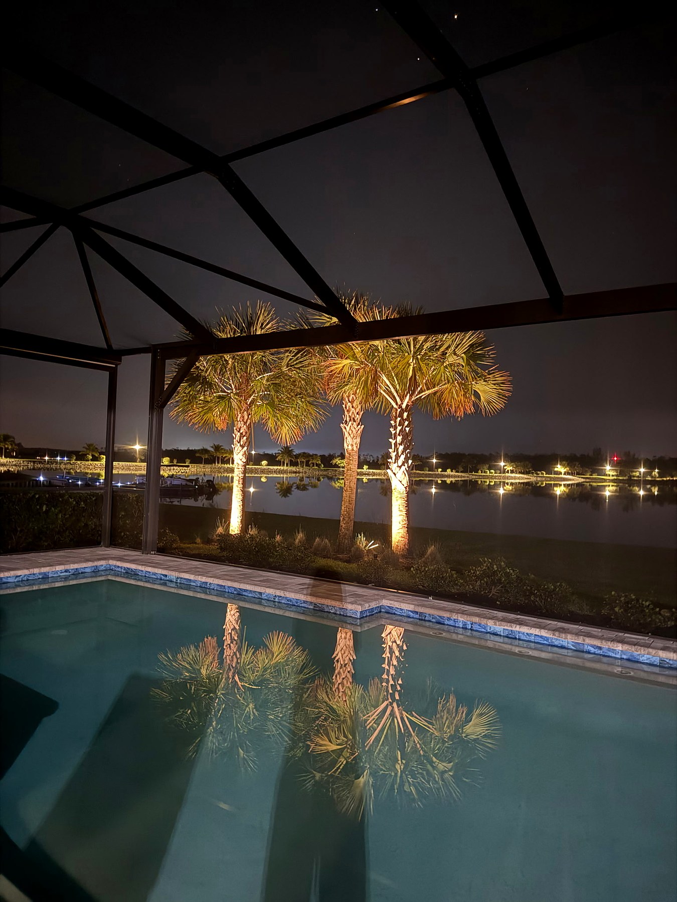 Landscape lighting around palm trees beside a pool