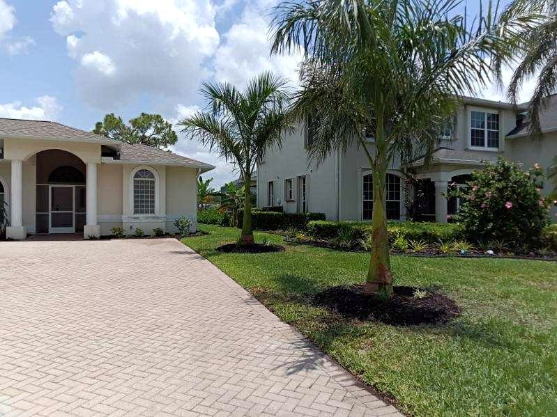 Completed residential landscape with lawn, palms and maintained planting beds