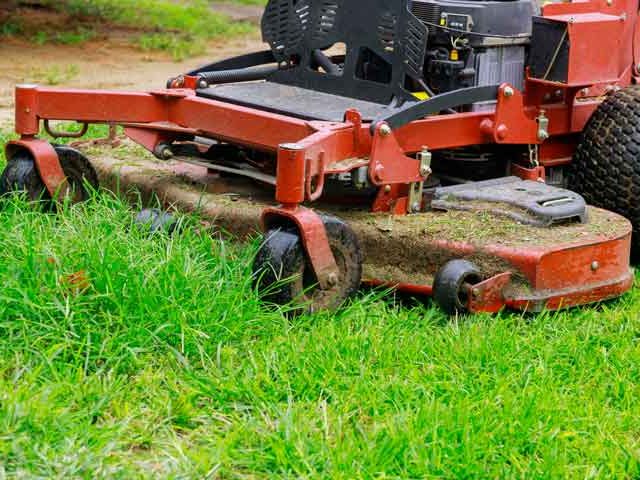 grass_roots_plus_green-grass-cutting-grass-lawn-care-lawnmower-gardening-back-yard-maintenance-lawn-mower-trimming_sm