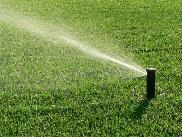 grass_roots_plus_sprinklers-automatic-watering-grass-on-a-hot-summer-day-savings-of-water-from-sprinkler-irrigation_sm