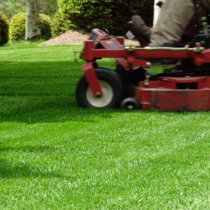 slideshow-residential-mowing